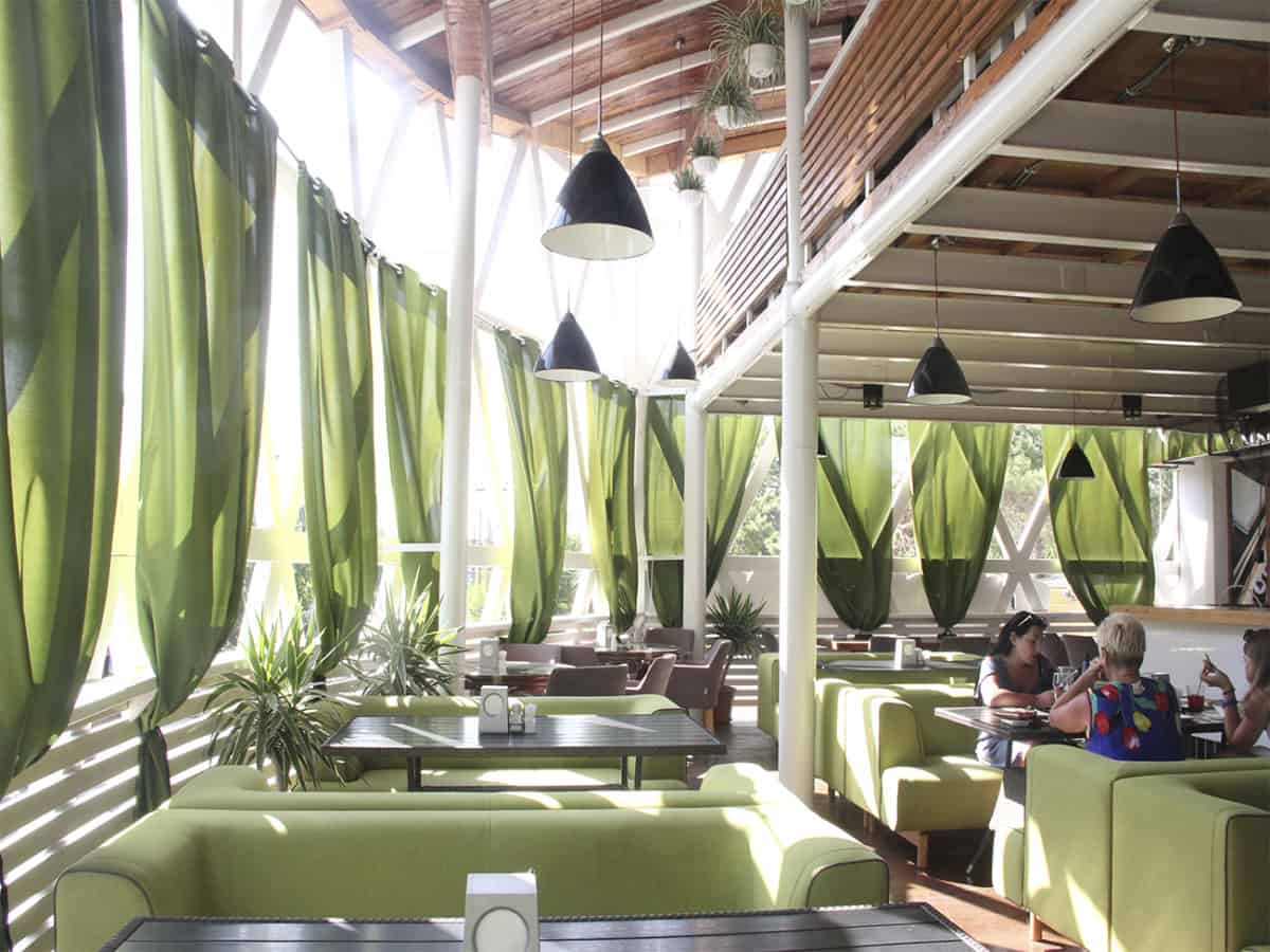 Васаби на Николаевских базах