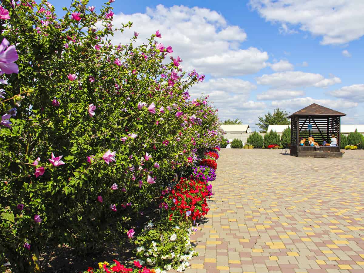 Аквапарк в Молдавской зоне