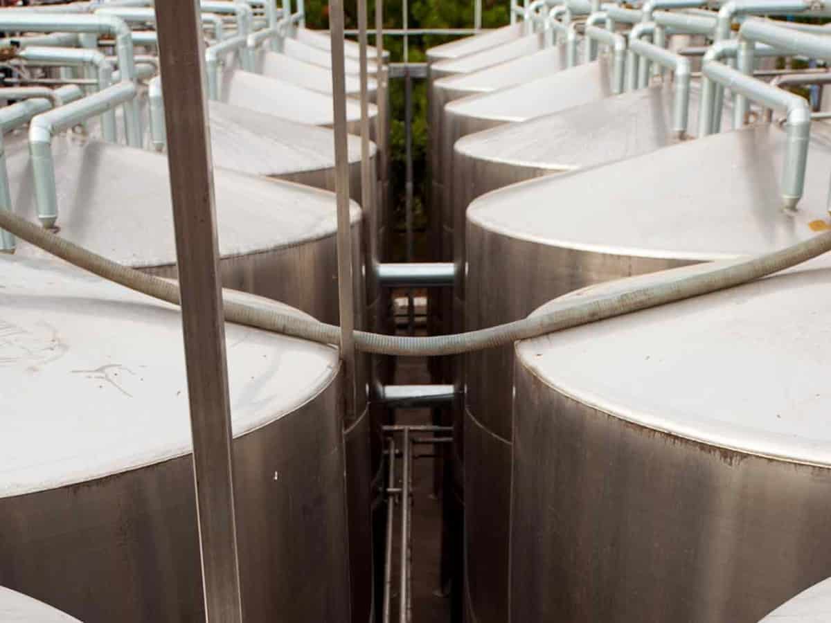 брожение вина