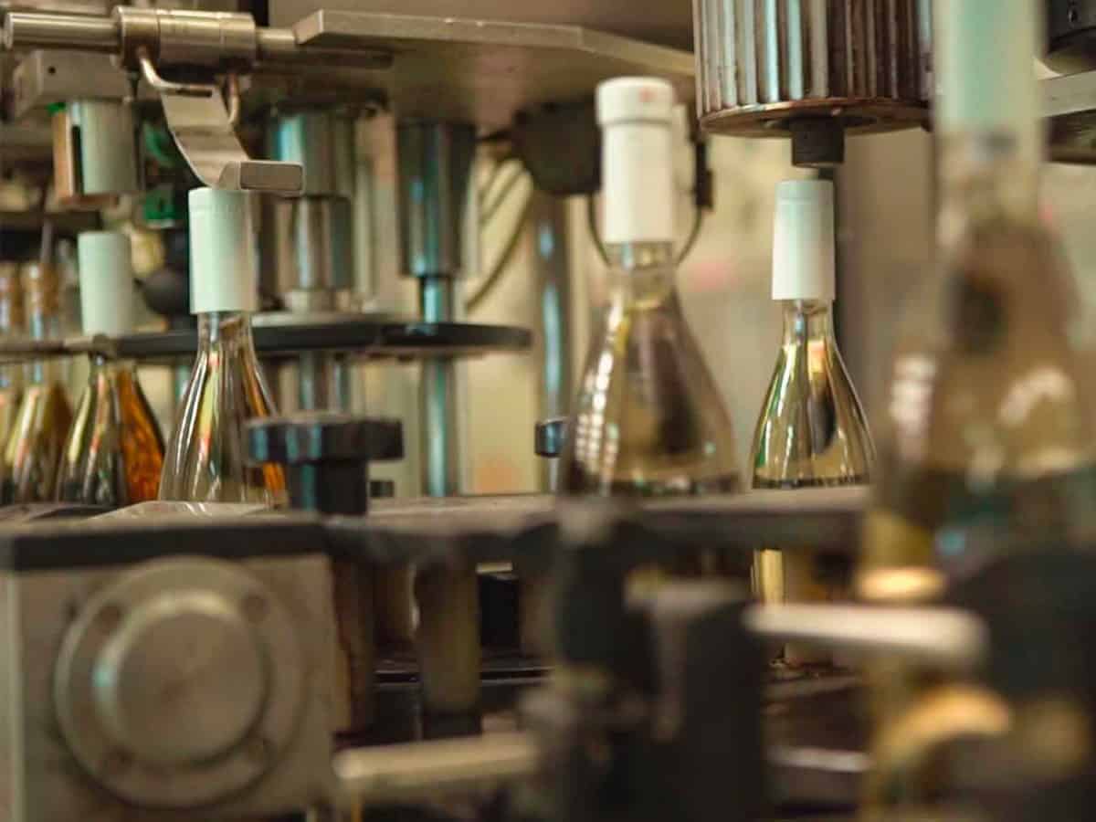 Конвеер на винзаводе в Коблево