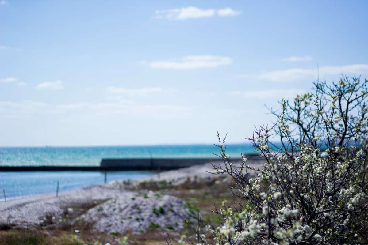 климат и природа в Коблево