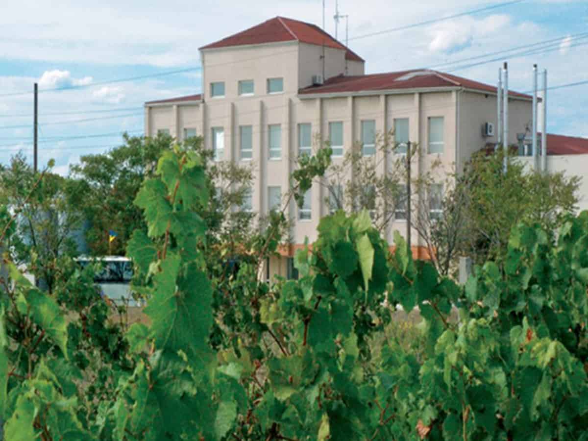 винзавод Коблево