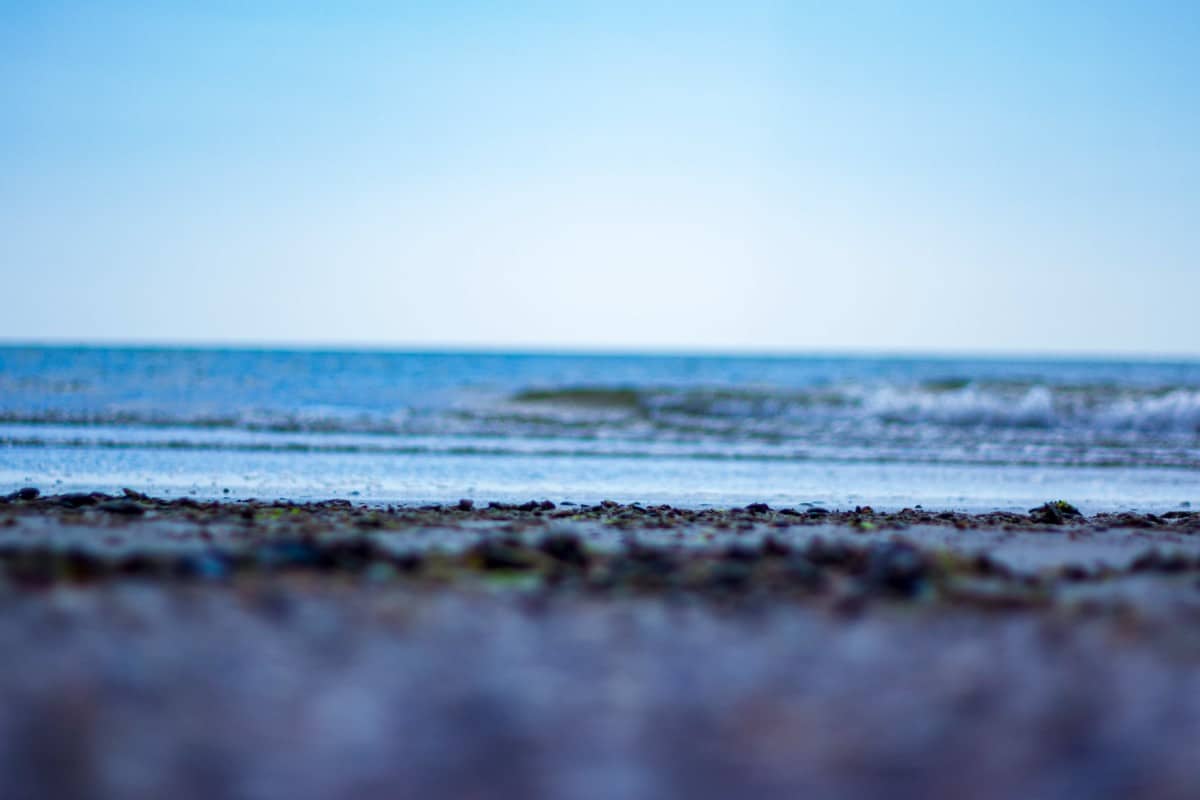 море климат коблево