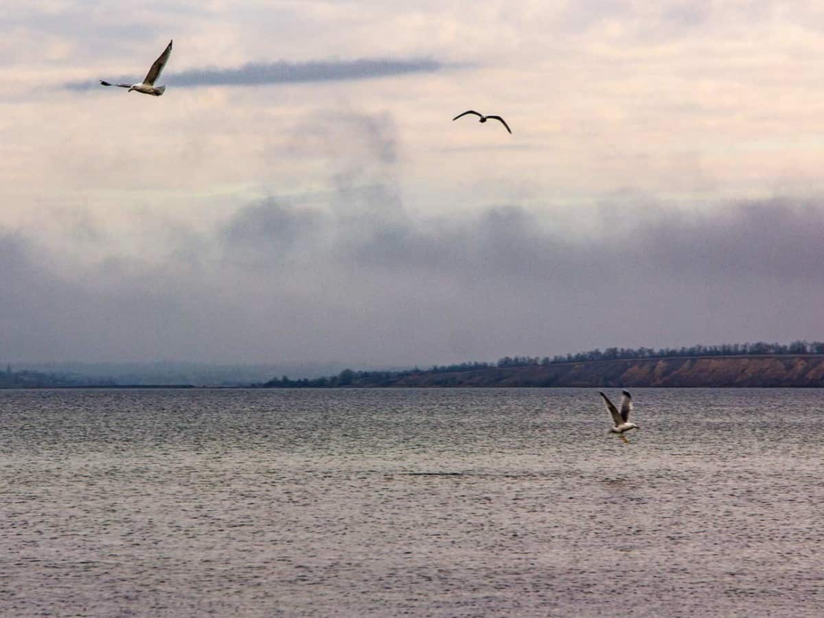 орнитологический заказник Коблево