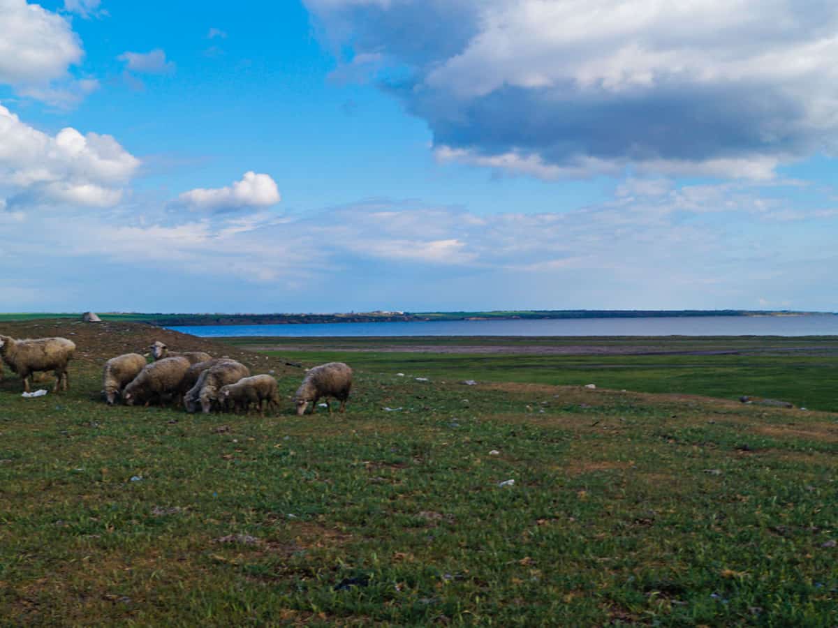 Тилигульский Лиман