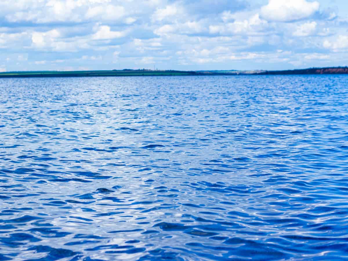 воды тилигульского лимана