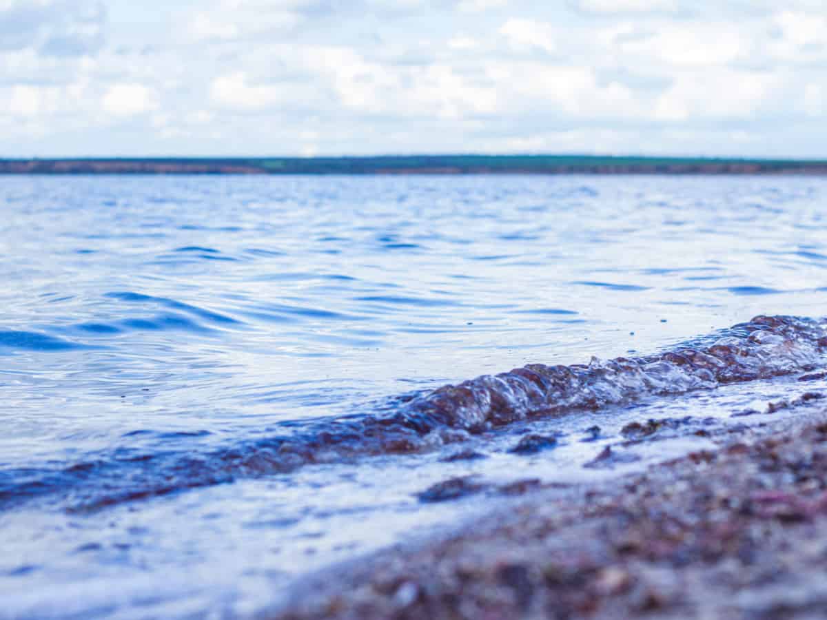 воды Тилигульского лимана