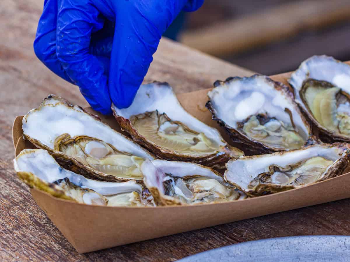 свежие устрицы