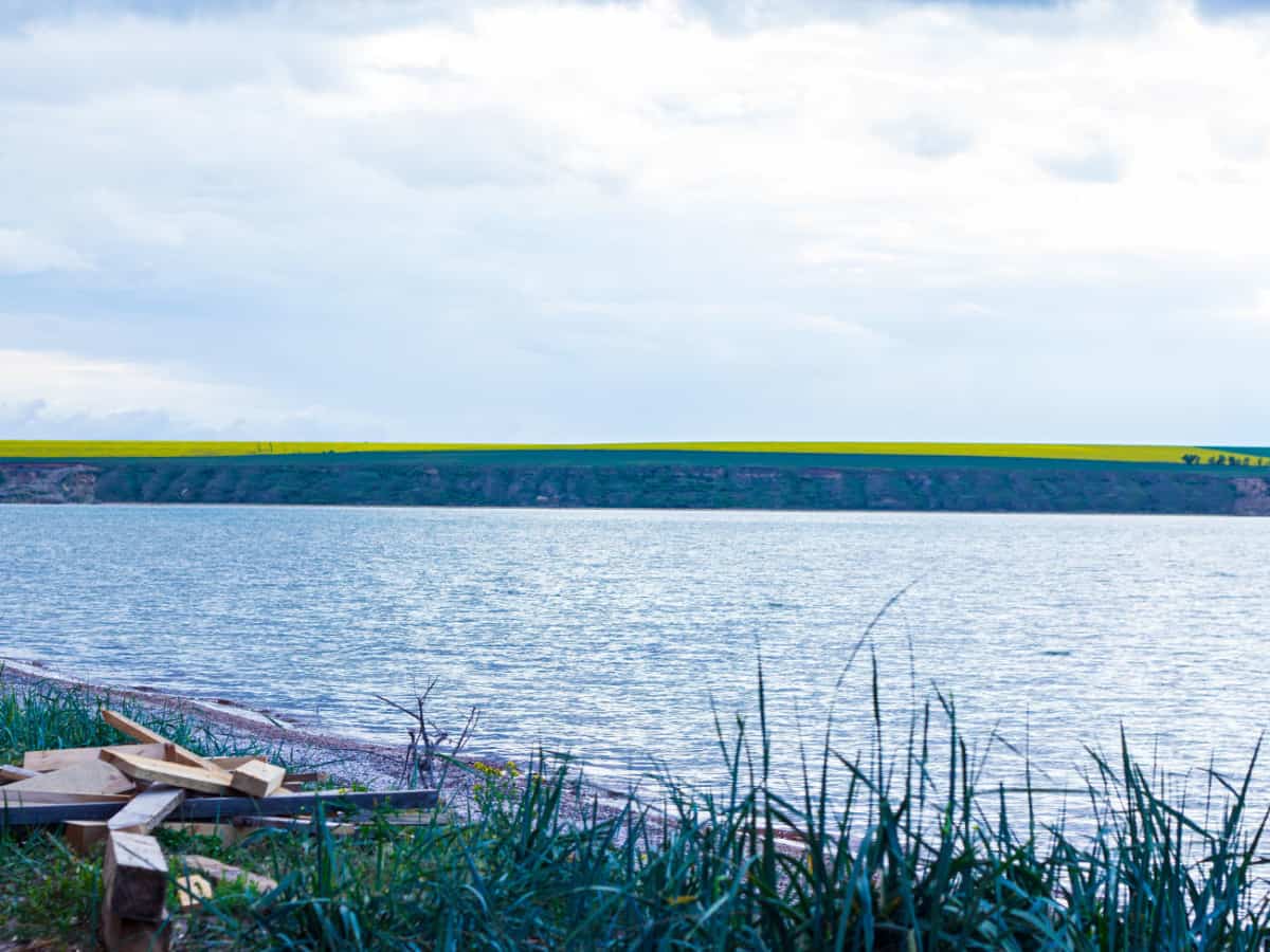 Лиман тилигульский фото