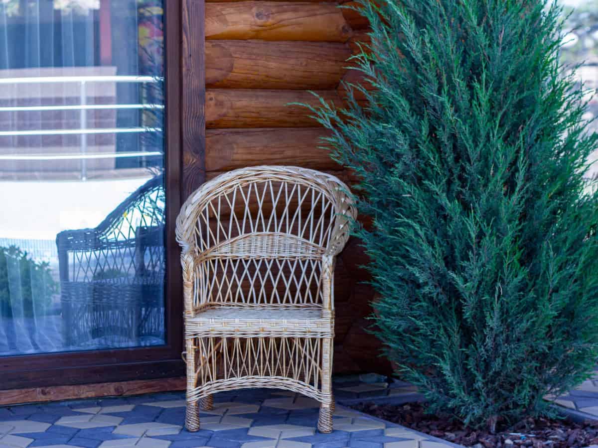 ротанговое кресло