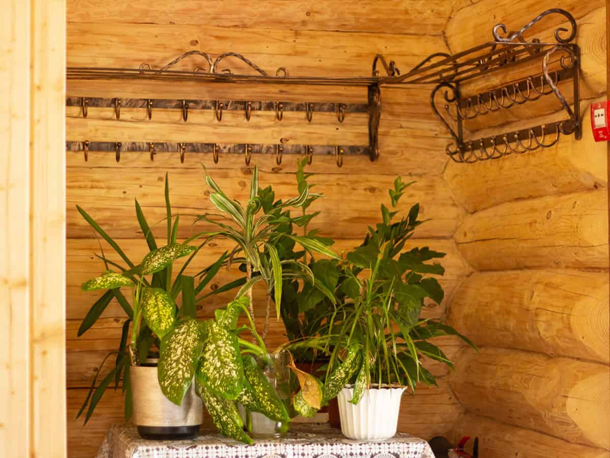 Отель Эко Черное Море ресторан Синевир