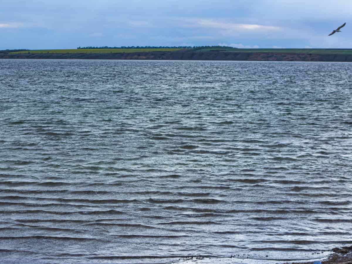 Тилигульский лиман природа