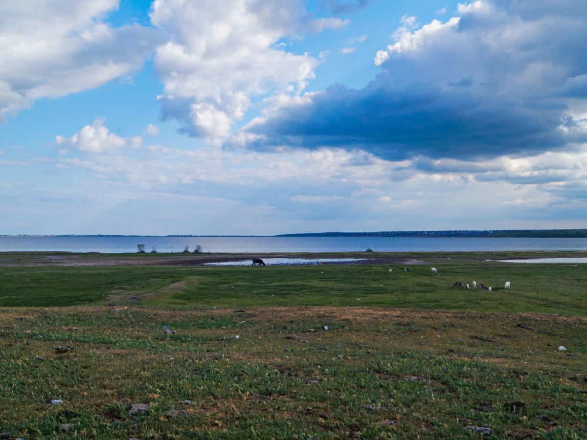 природа Тилигульского лимана