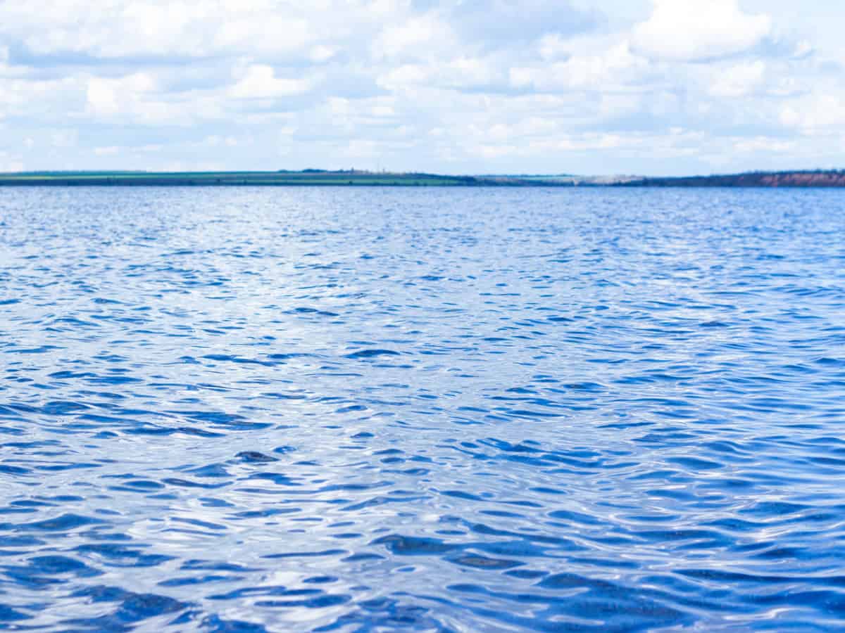 Вода в Тилигульском Лимане