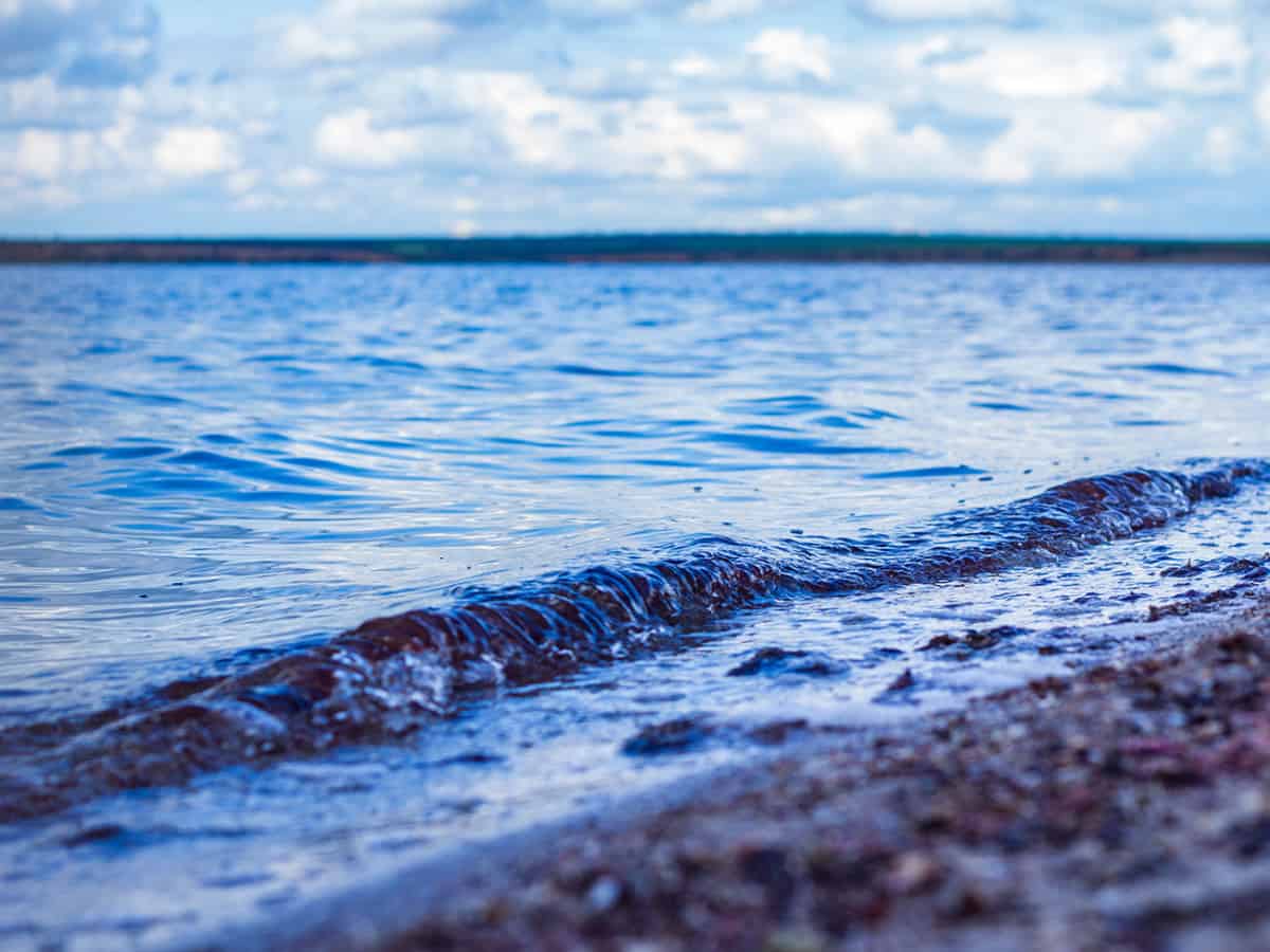 Тилигульский лиман