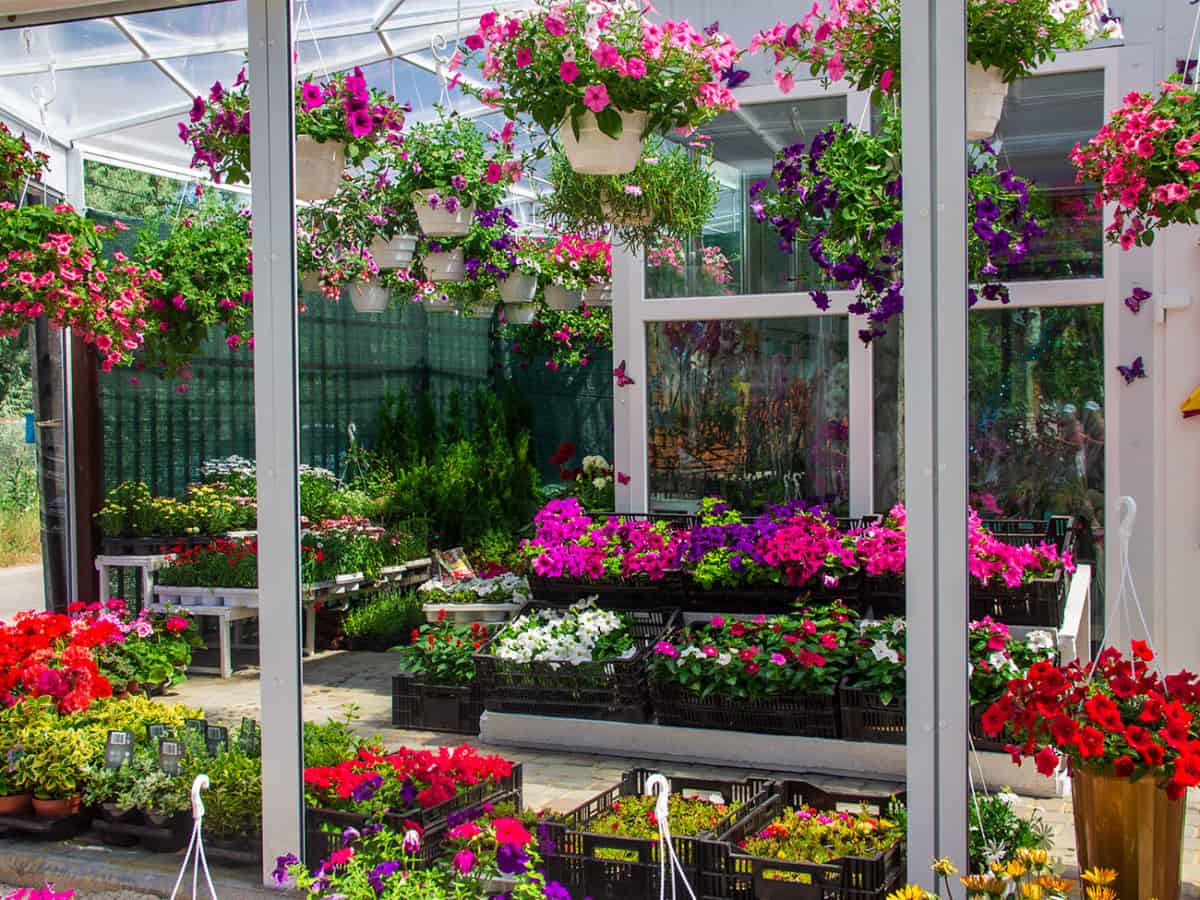 Цветочная лавка Новый Сад в Коблево