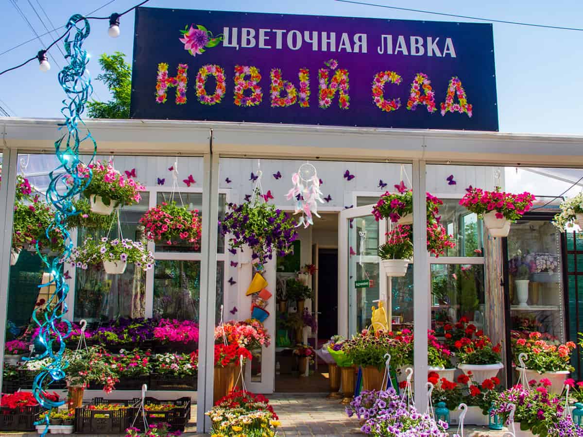 Цветочная лавка Новый Сад в Коблево