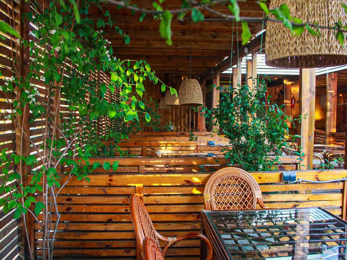 Милано Коблево первый этаж