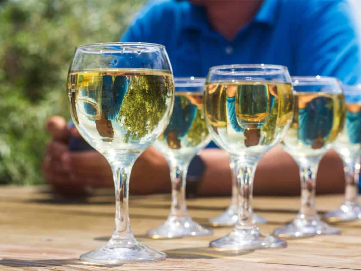 устричная ферма в Коблево