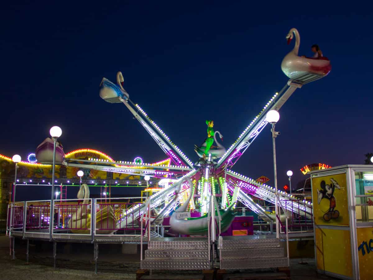 Атракцион с лебедями в Коблево