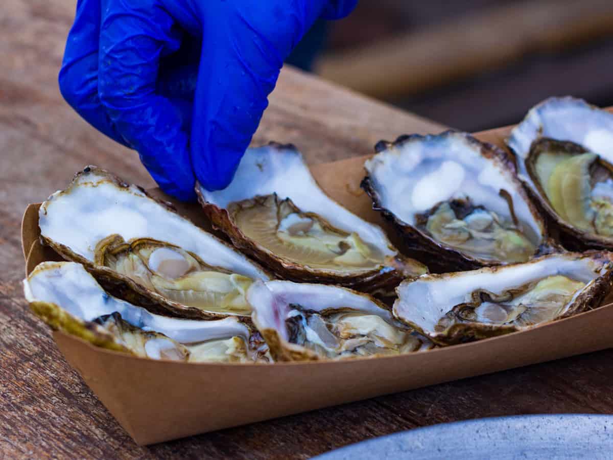 Устричная ферма Экскурсии Коблево