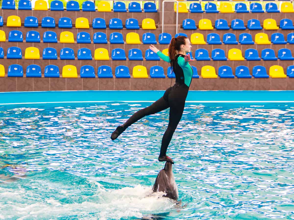 Тренер выполняет трюк с дельфином Коблево