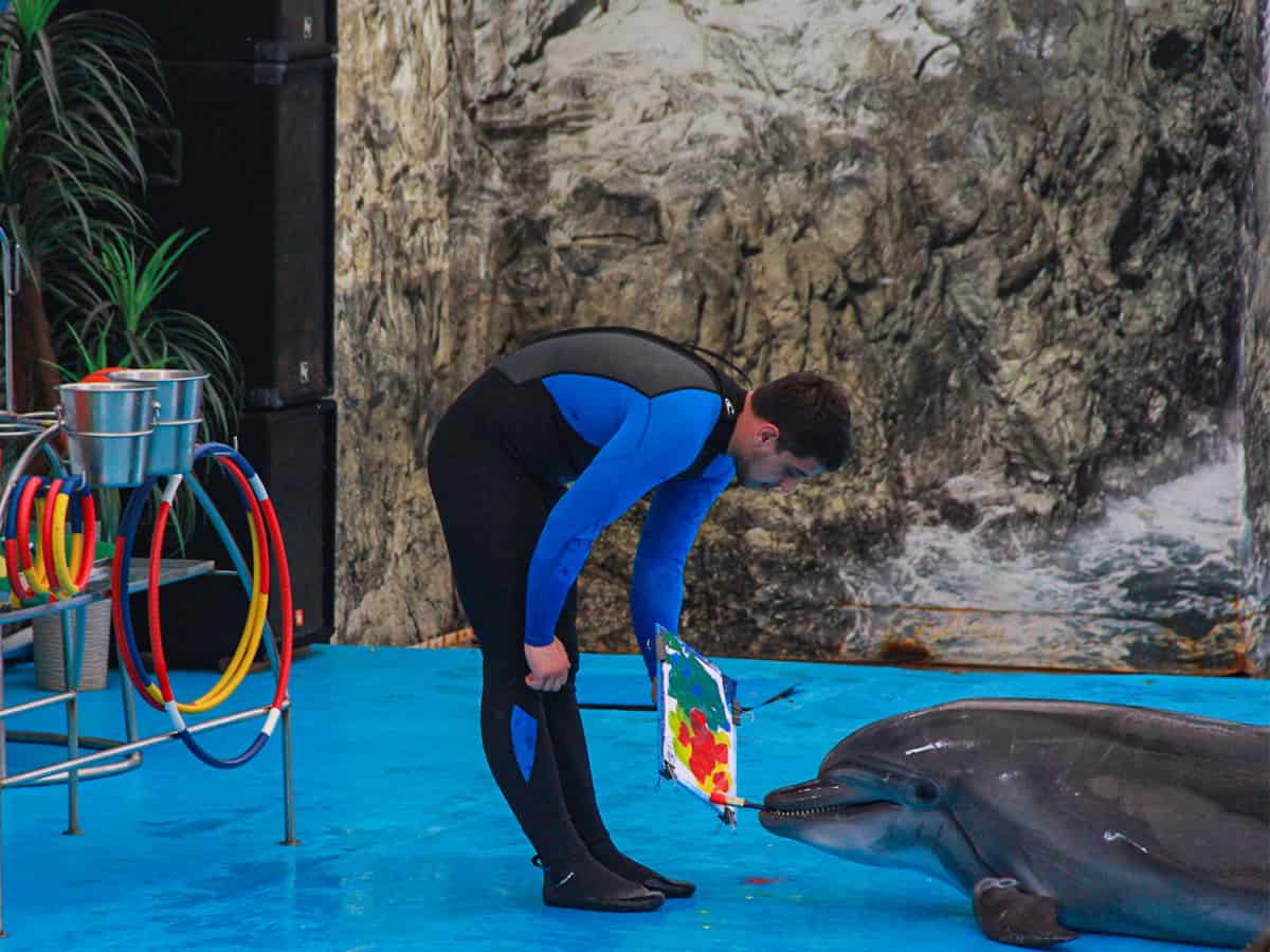 Дельфин художник Коблево