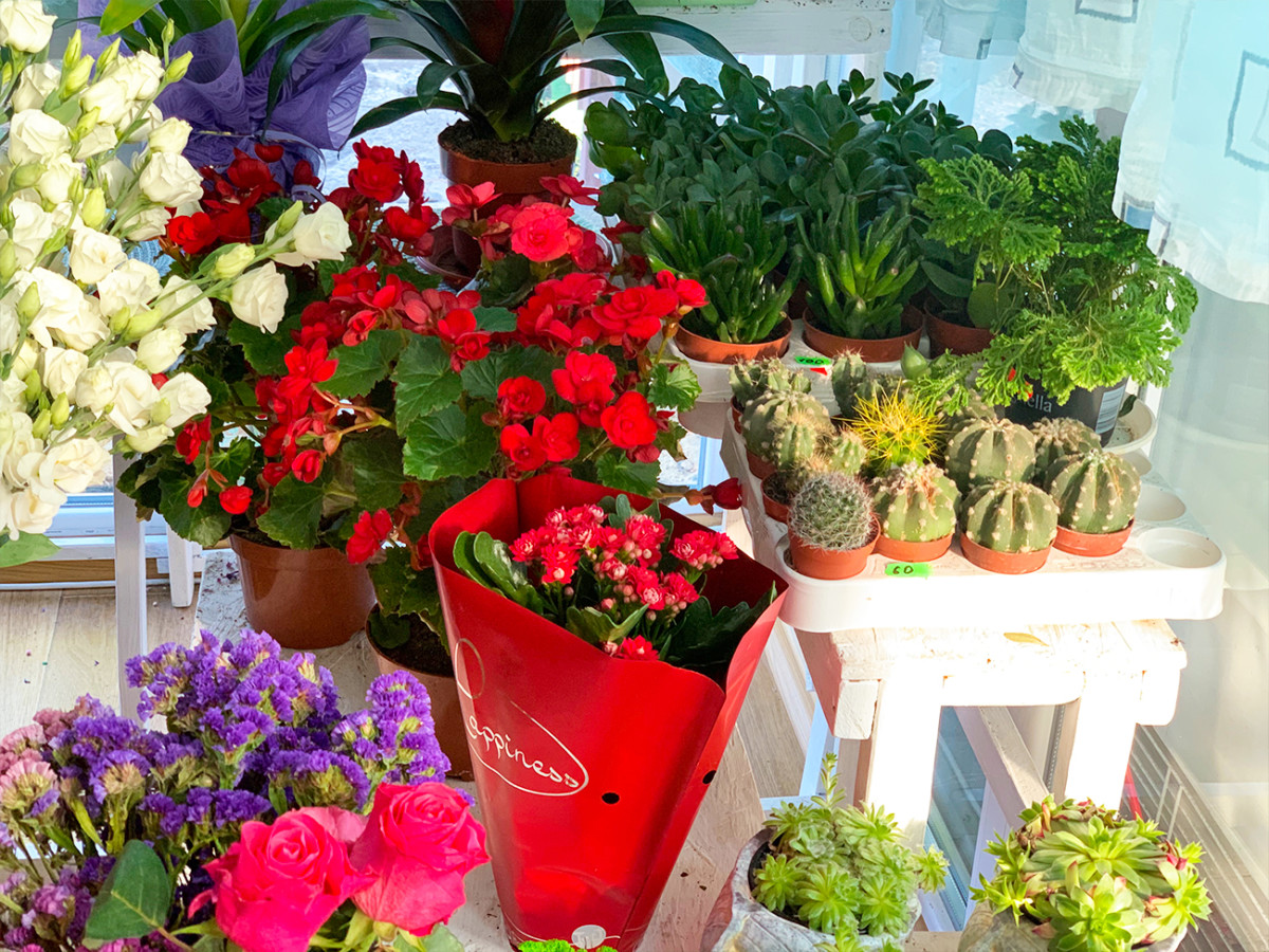 доставка цветов в Коблево