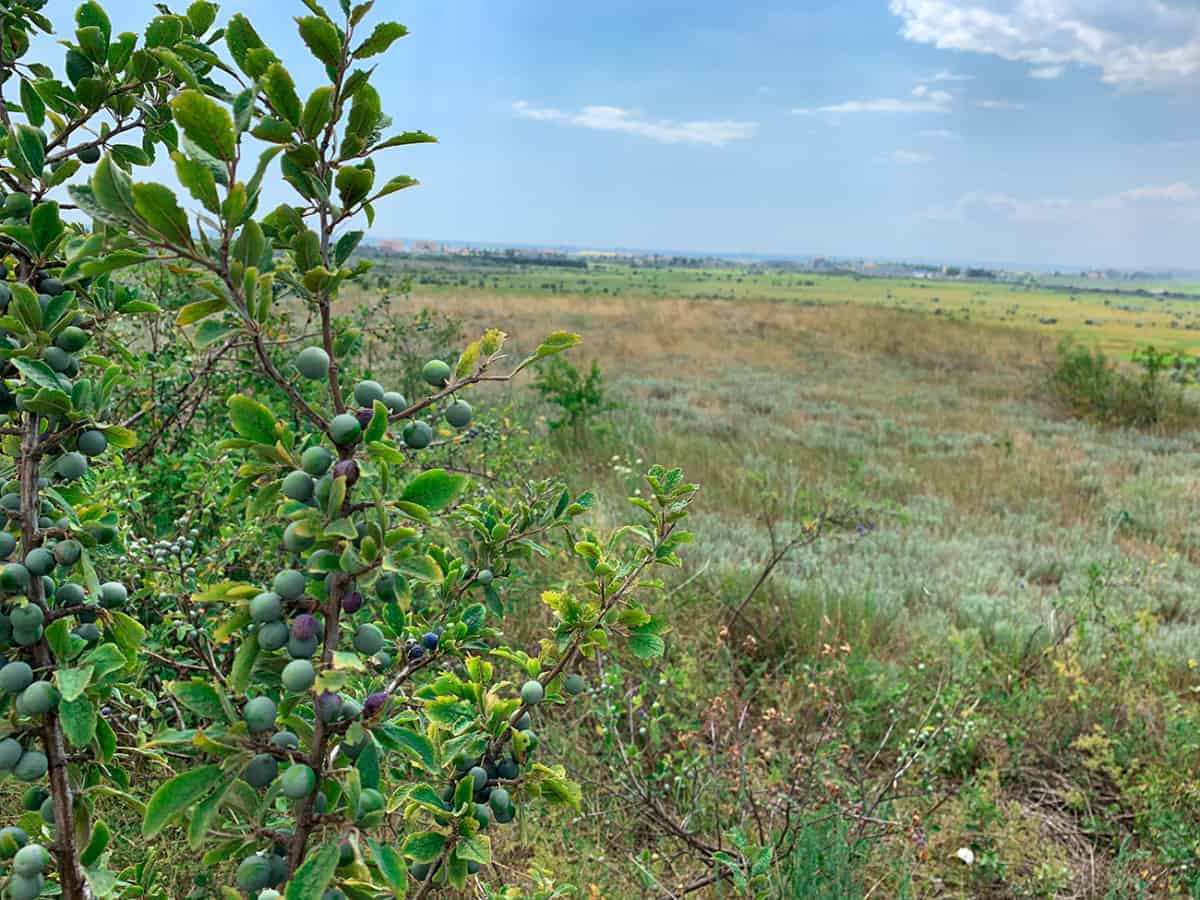 Фото воблево вид на курорт