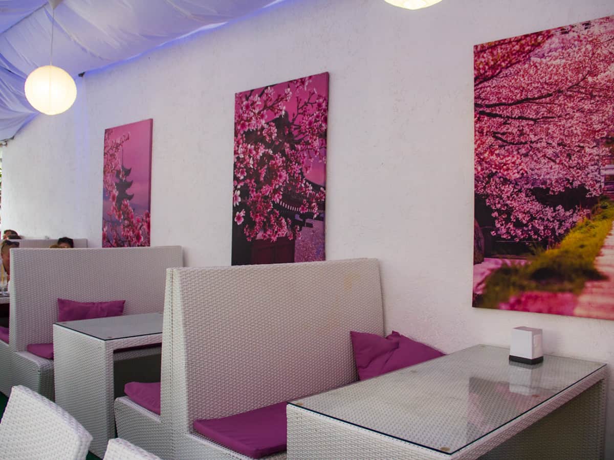 Где поесть японскую кухню в Коблево