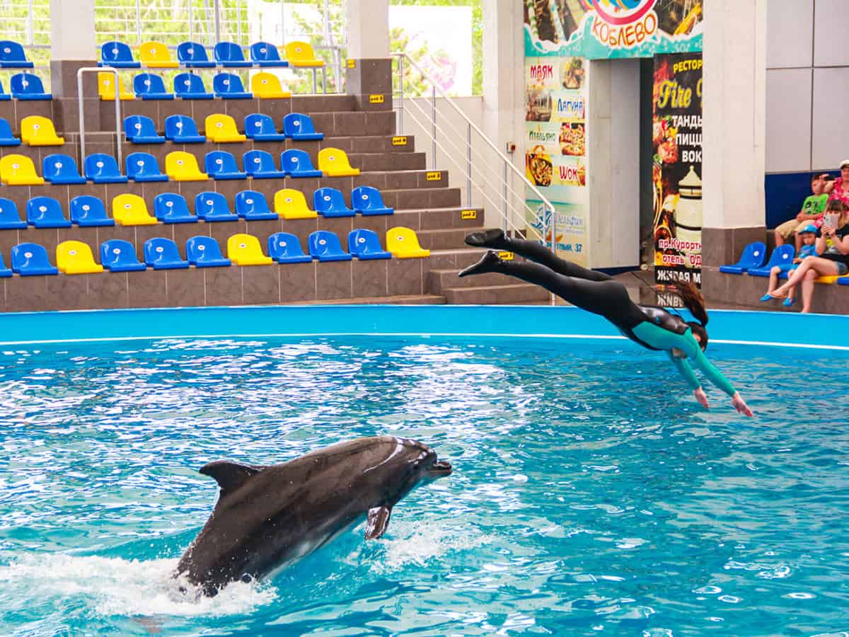 Дельфинарий Немо в Коблево