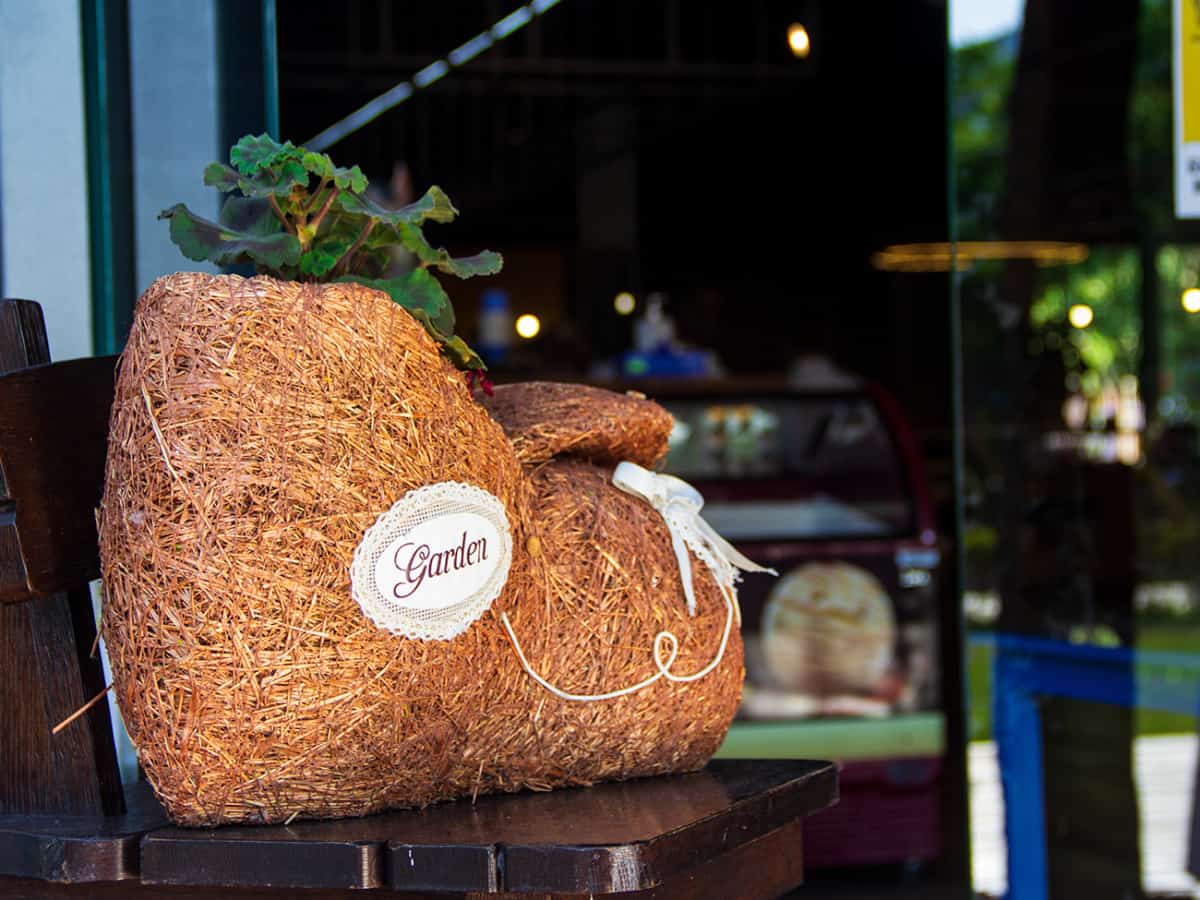 Ресторан Кин Дза Дза в Коблево