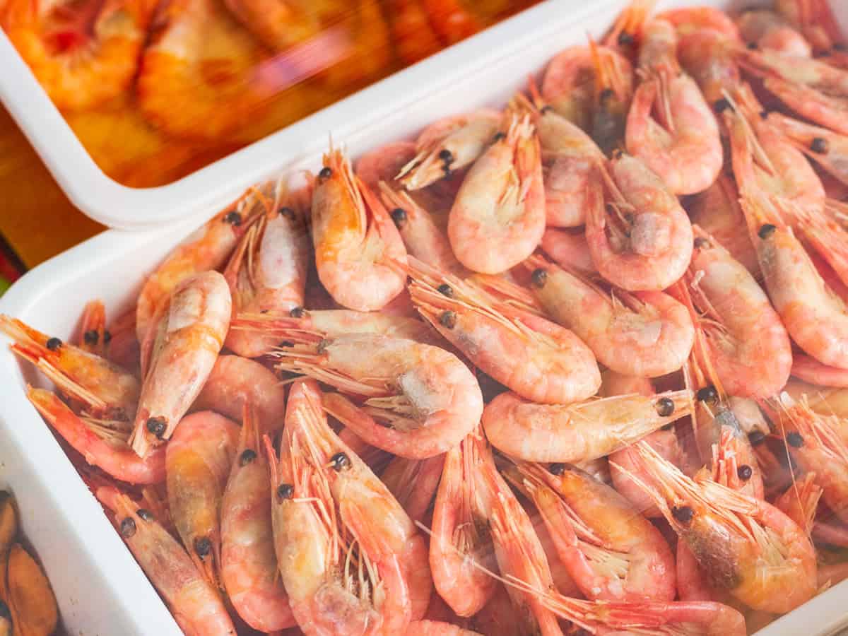 Выбор креветок в ларьке Коблево