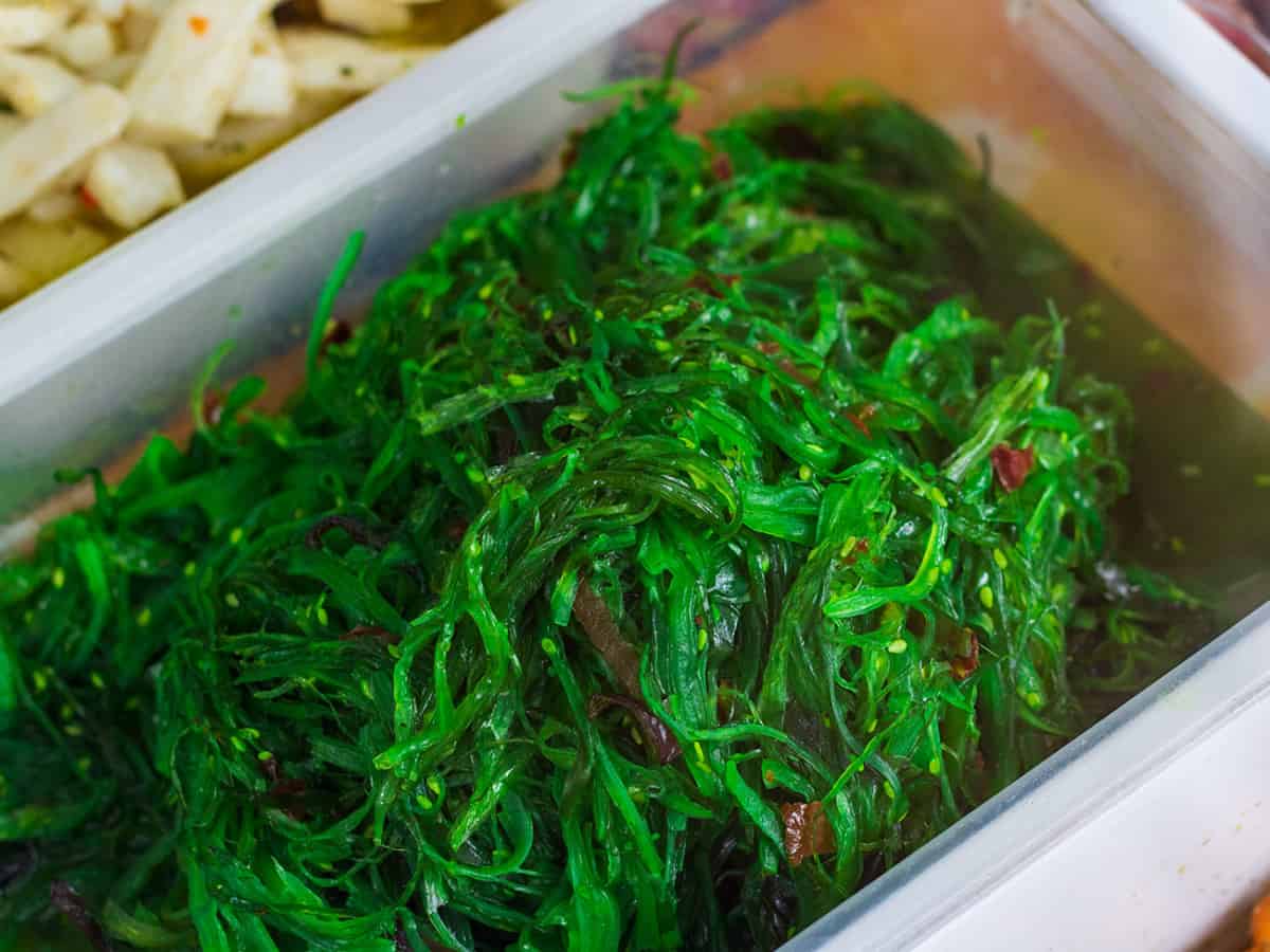 Морская чука купить в Коблево