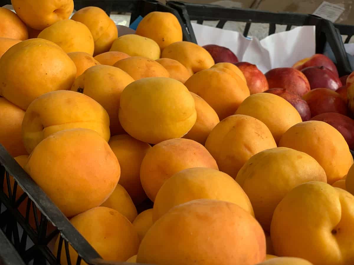 Фрукты купить на рынке в Коблево