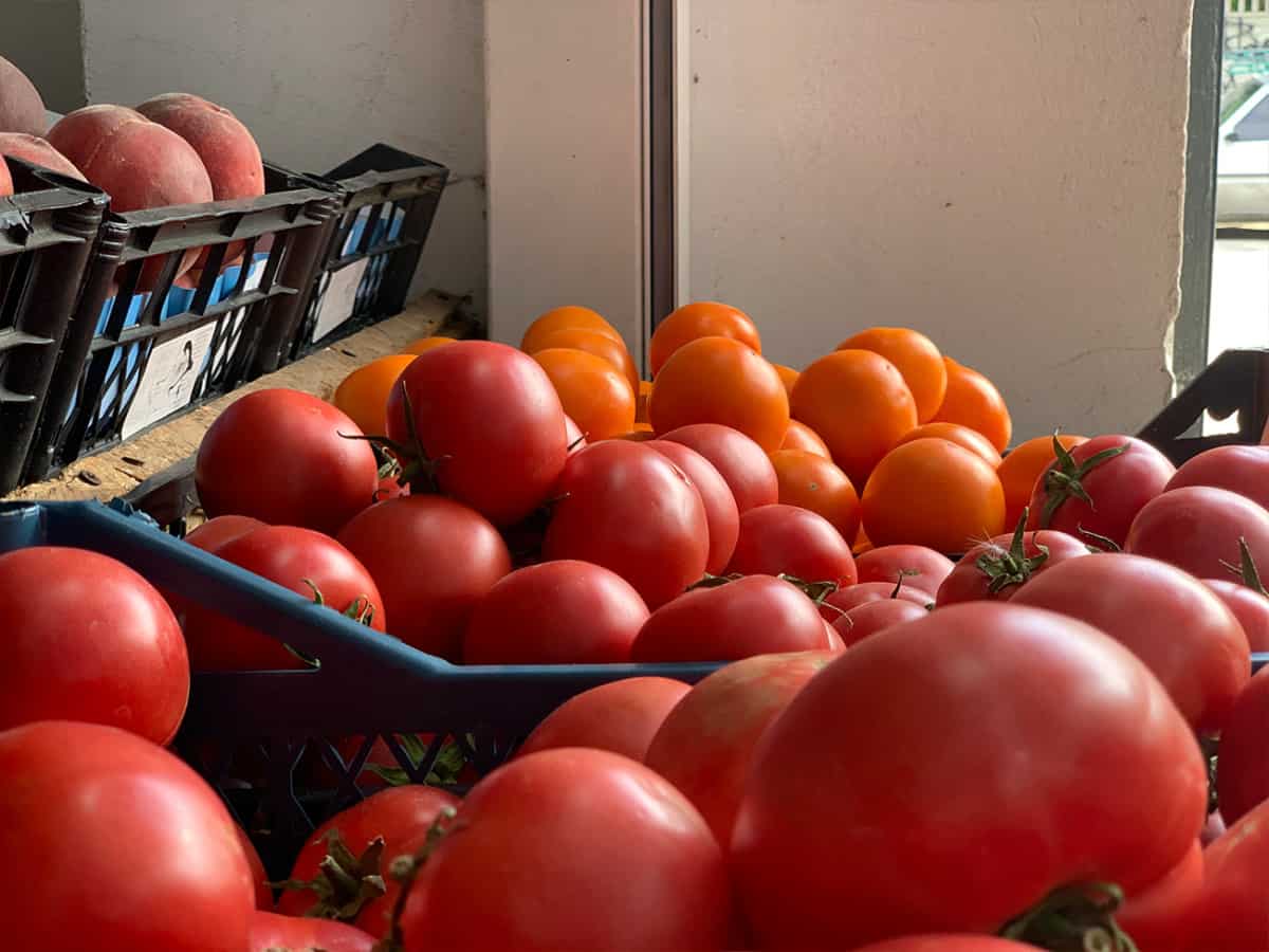 Свежие овощи купить в Коблево