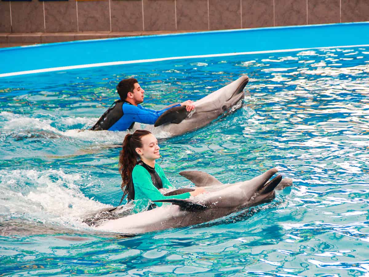 Дельфинарий Немо в Коблево