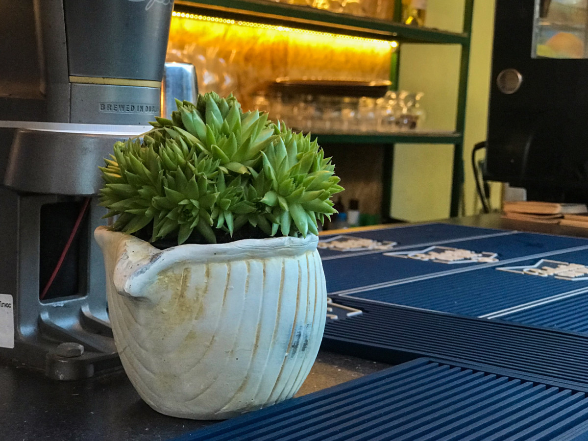 Паб Пикник в Коблево фото