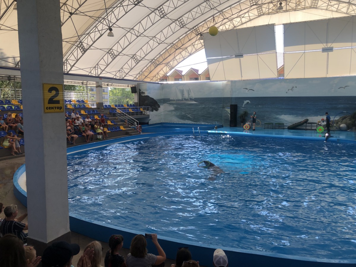 Фото Коблево 17.08.2020 дельфинарий Немо