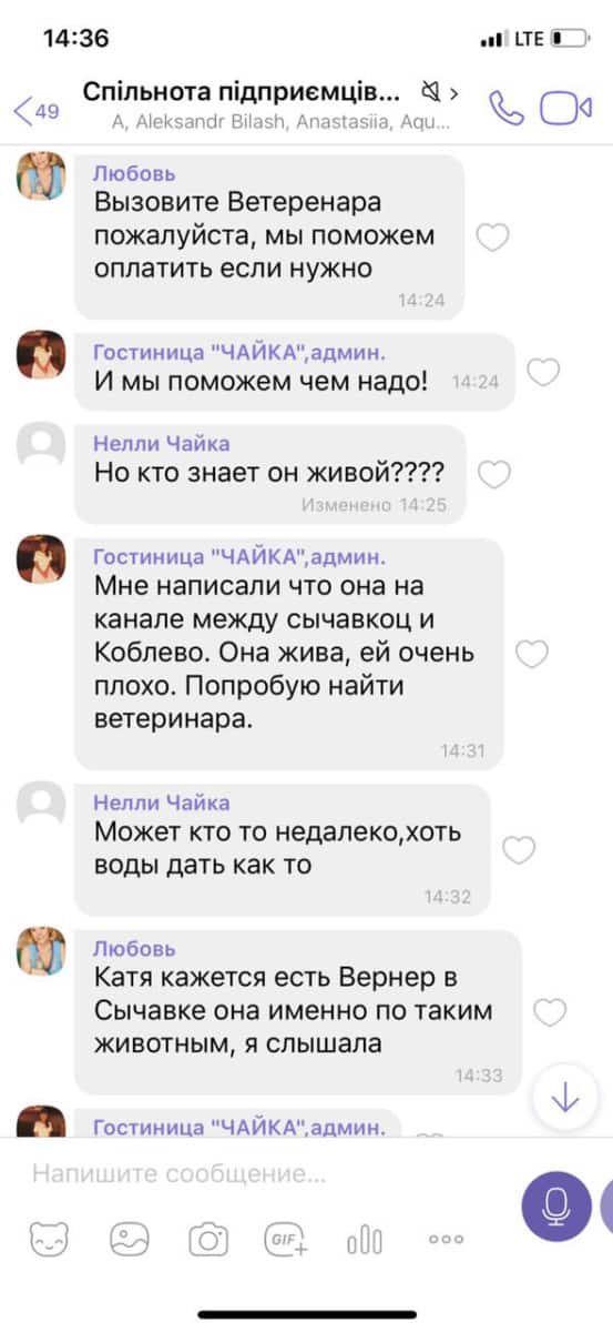 Переписка в вайбере предпринимателей Коблево