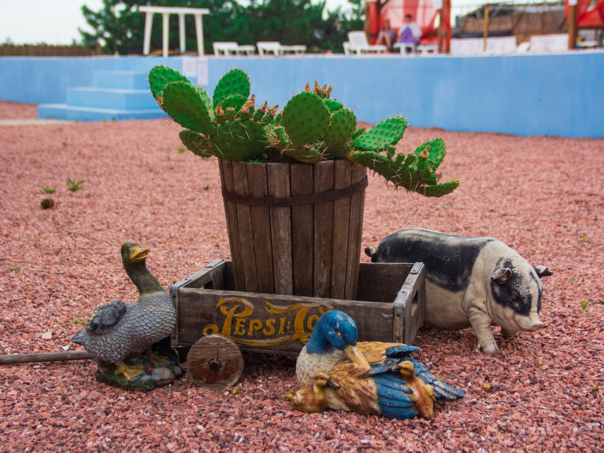 Территория Родео парка в Коблево