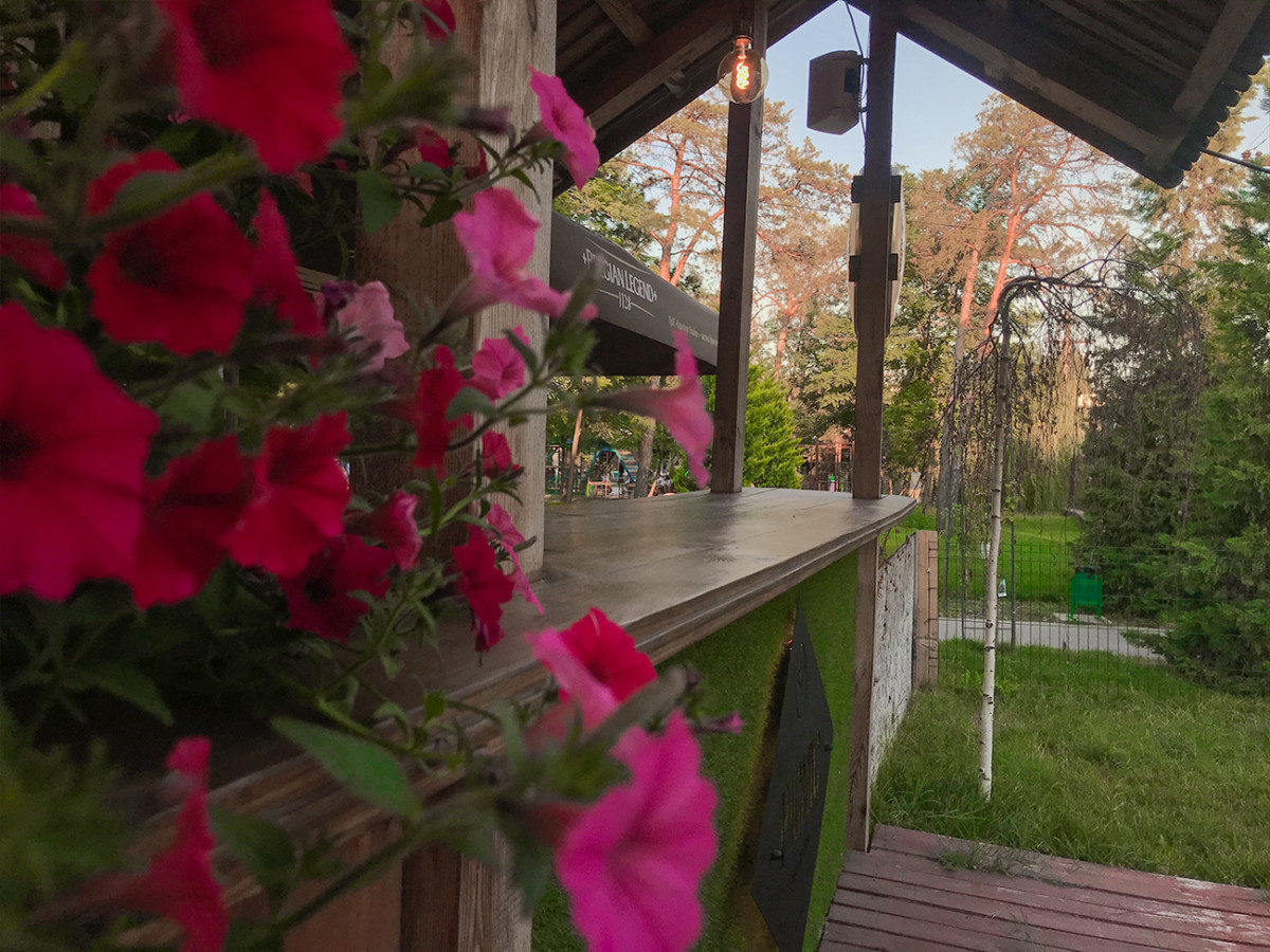 Где покушать в Коблево