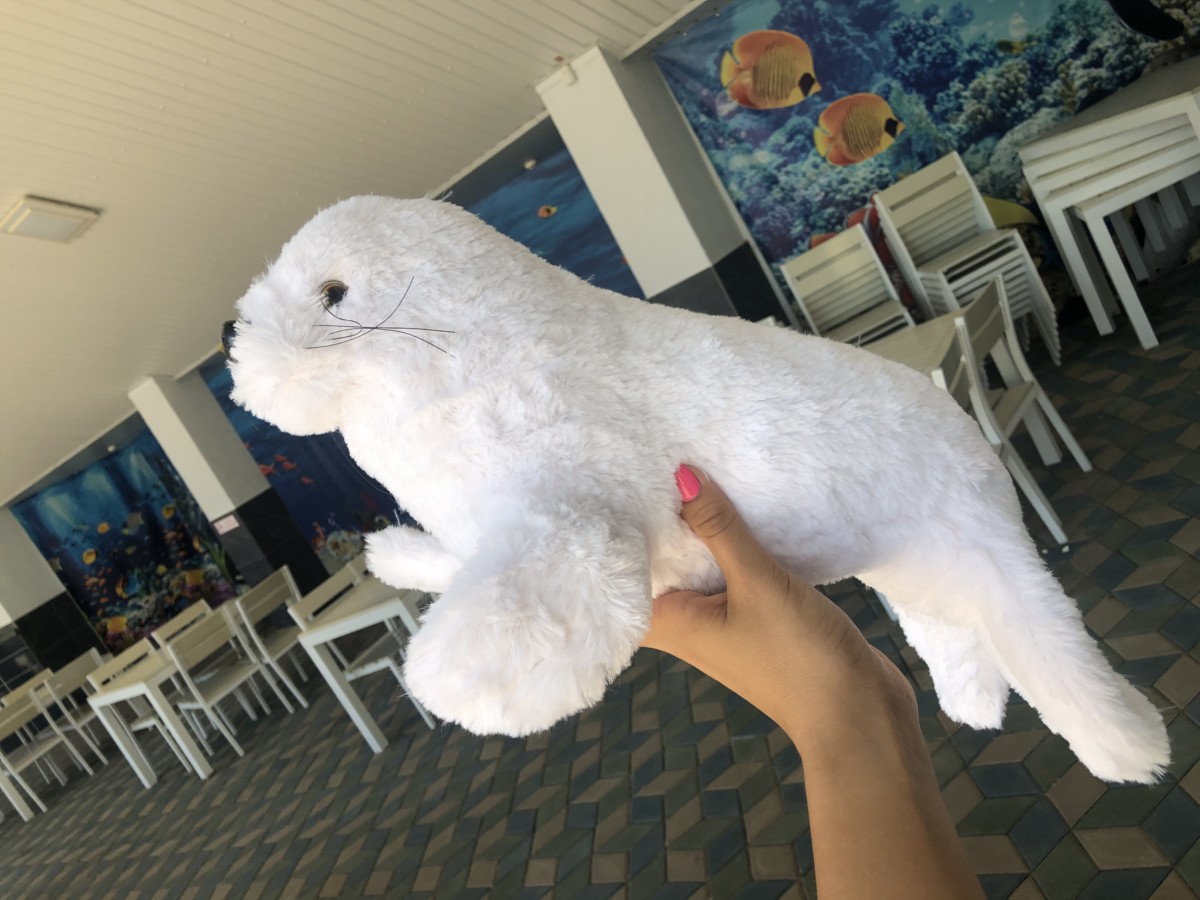 Фото Коблево игрушка тюлень