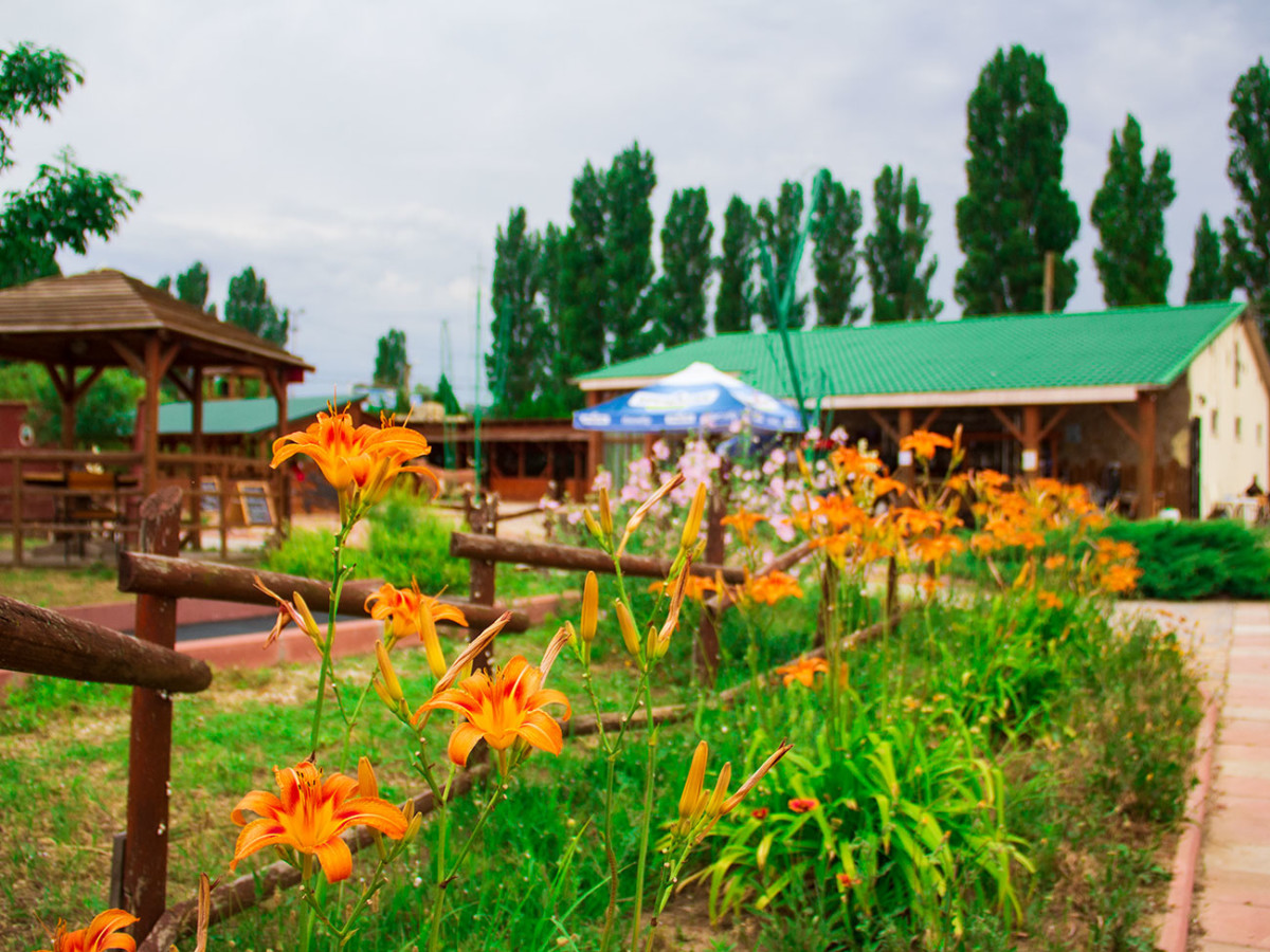 Фото живописной территории в Родео парке в Коблево