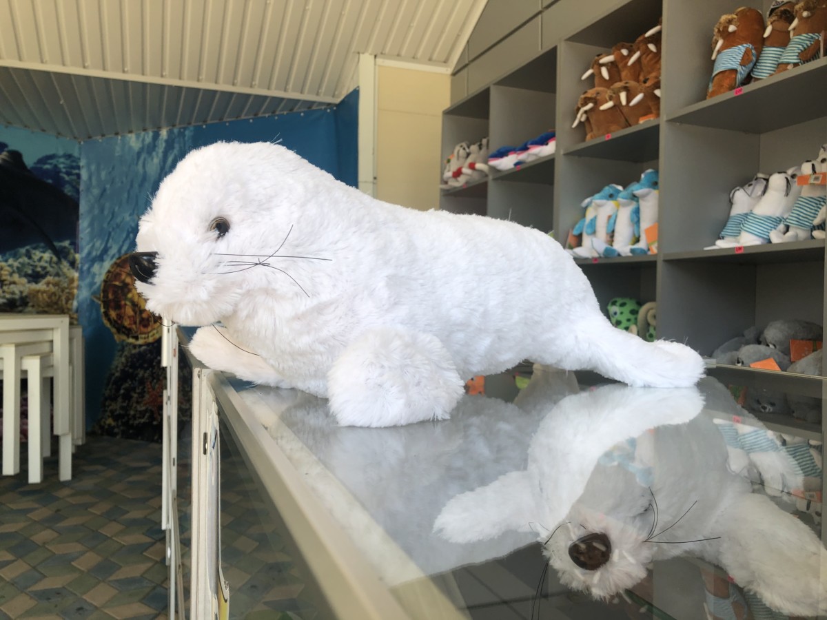 Плюшевый тюлень купить в Коблево