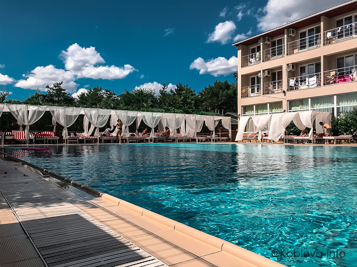 Дельфин в Коблево с бассейном фото