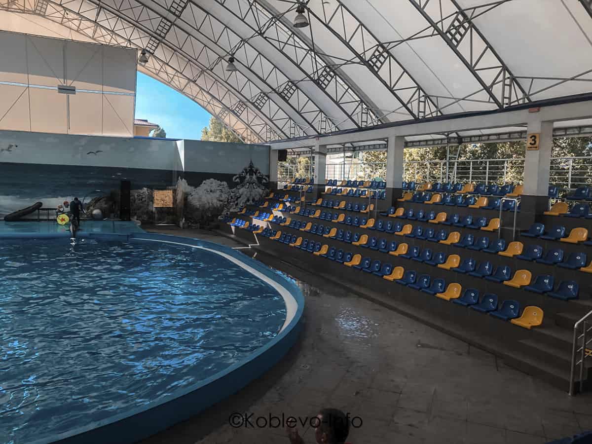 Куда пойти в Коблево