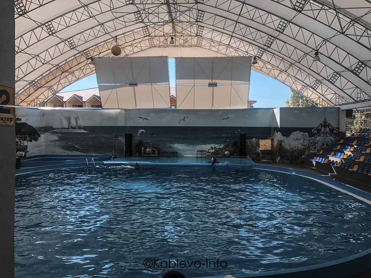 Фото представления в Дельфинарии в Коблево