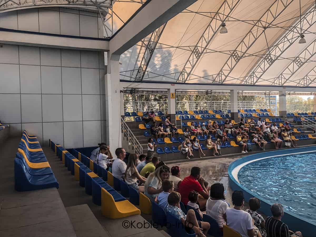 Развлечения в Коблево фото. Дельфинарий