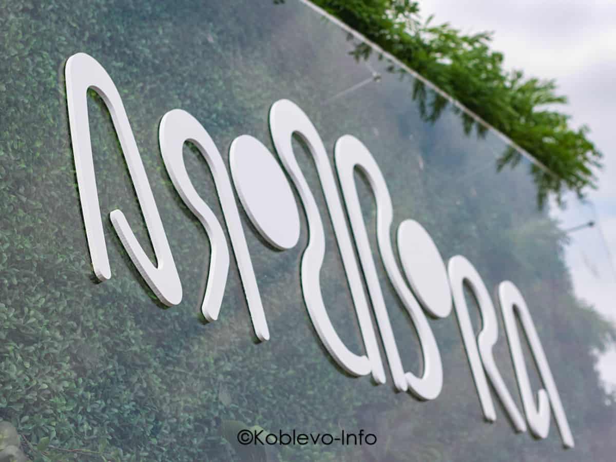 Отдых в Коблево 2021. Рестораны с живой музыкой летом